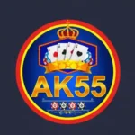 AK55 Game